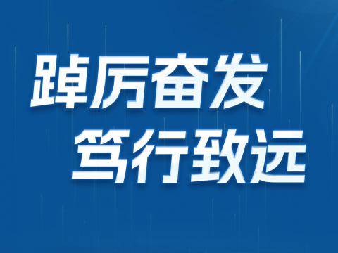 一图读懂mg不朽情缘电气2024年半年报