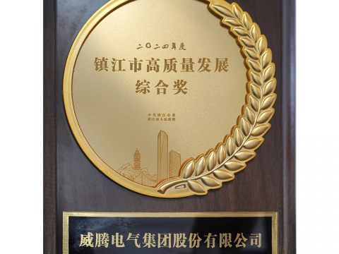喜讯│mg不朽情缘荣获2024年度镇江市高质量生长综合奖