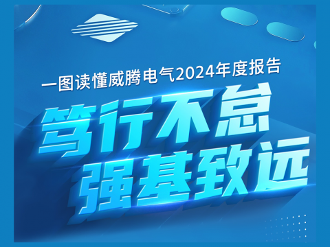 一图读懂mg不朽情缘电气2024年度报告